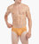 Essential Cotton Bikini Brief 4-Pack