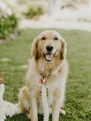 Macrame Dog Leash