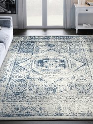 Casa Persian Distressed Area Rug