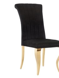 Contemporary Black with Gold Velvet Upholstered Dining Chairs (Set of 2) - Black with Gold