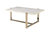 ACME Feit Coffee Table, Faux Marble & Champagne