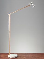 ADS360 Crane LED Floor Lamp