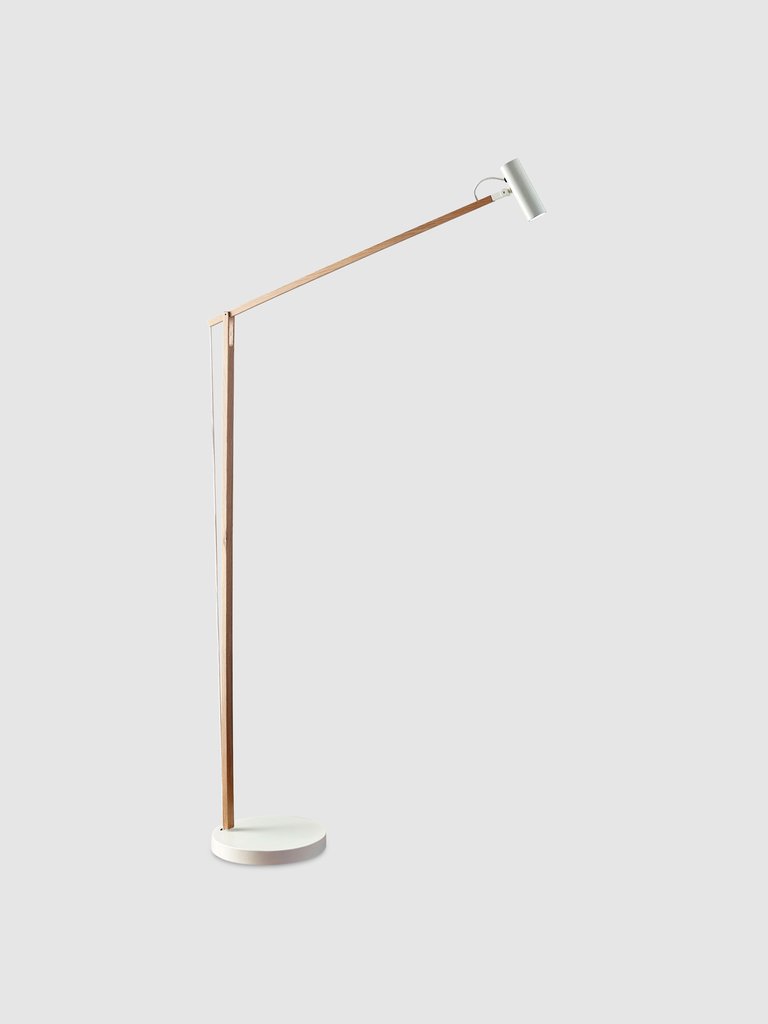 ADS360 Crane LED Floor Lamp