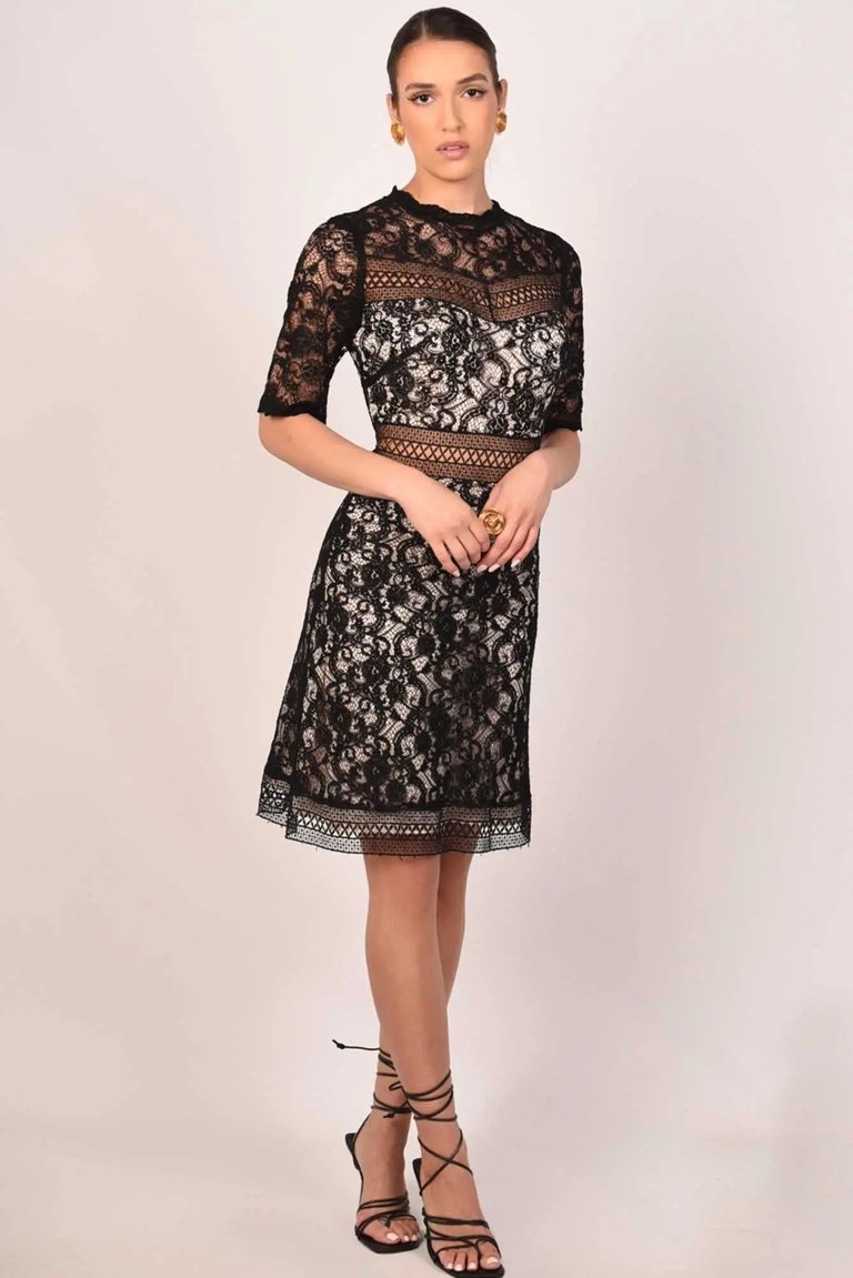 Clarise Lace Mini Dress - Black