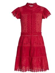 Women Marina Tiered Embroidered Mini Dress - Cinnamon