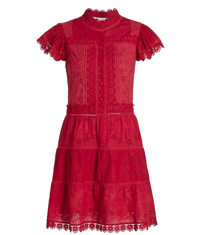 Women Marina Tiered Embroidered Mini Dress - Cinnamon
