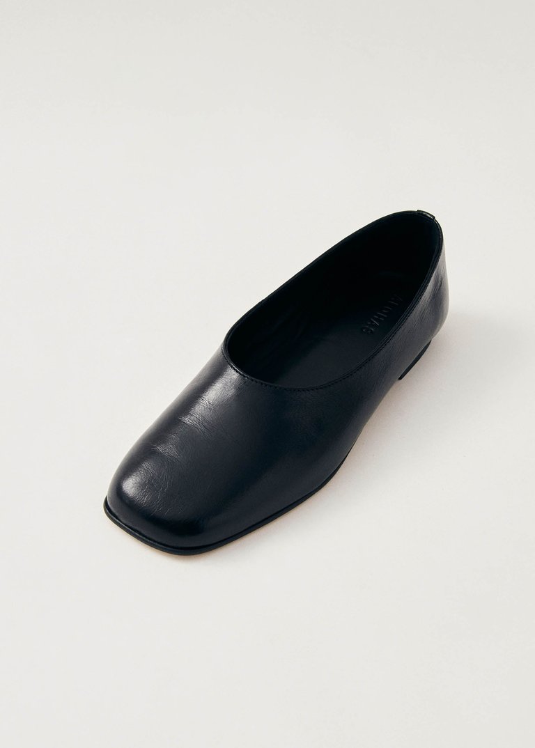 Edie Leather Ballet Flats