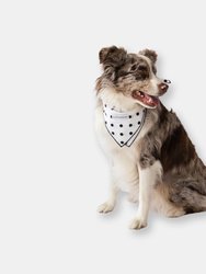 Buddy Dog Bandana - Black and White Classic Dots