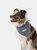 Buddy Dog Bandana - Navy Gingham