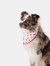 Buddy Dog Bandana - Seersucker Dots