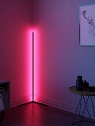 57 in. Black LED RGB Floor Lamp