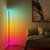 57 in. Black LED RGB Floor Lamp