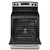 4.8 Cu. Ft. Freestanding Stainless Steel Electric Range