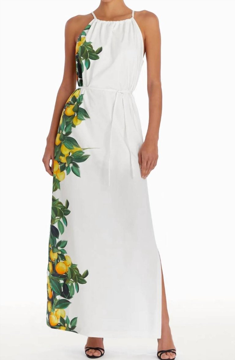 Alicanta Maxi Dress In Lemonhead - Lemonhead