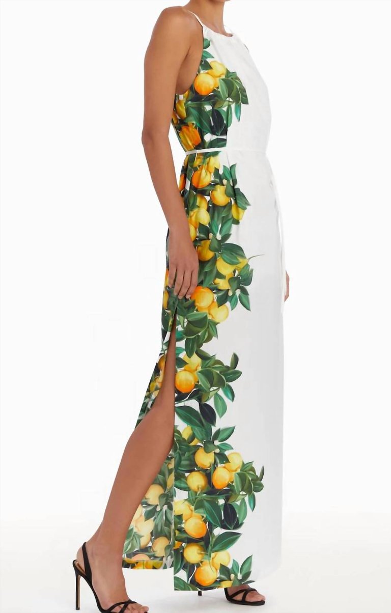 Alicanta Maxi Dress In Lemonhead