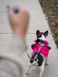 2-In-1 Travel Dog Vest With Built In Harness 