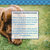 Country Living Premium All-Natural Bovine Tendon Dog Treats