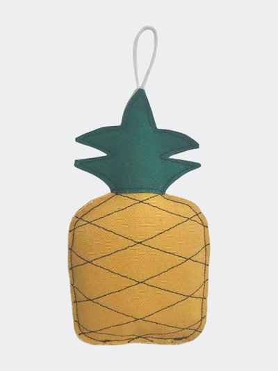 American Pet Supplies Eco-Friendly Pineapple Canvas and Jute Dog Toy product