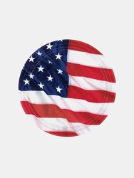 Paper American Flag Disposable Plates (Pack of 10) - Red/White/Blue