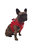 Ancol Step-in Dog Harness (Red) (18.9in - 22.05in)