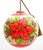 Christmas Flower Poinsettia Ornament