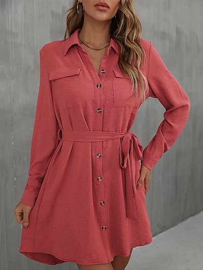 Anna-Kaci Button Down Polo Shirt Dress product