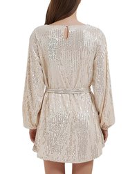 Women's Sparkly Sequins Party Dress Long Sleeve Crew Neck Elegant Loose Fashion Dresses