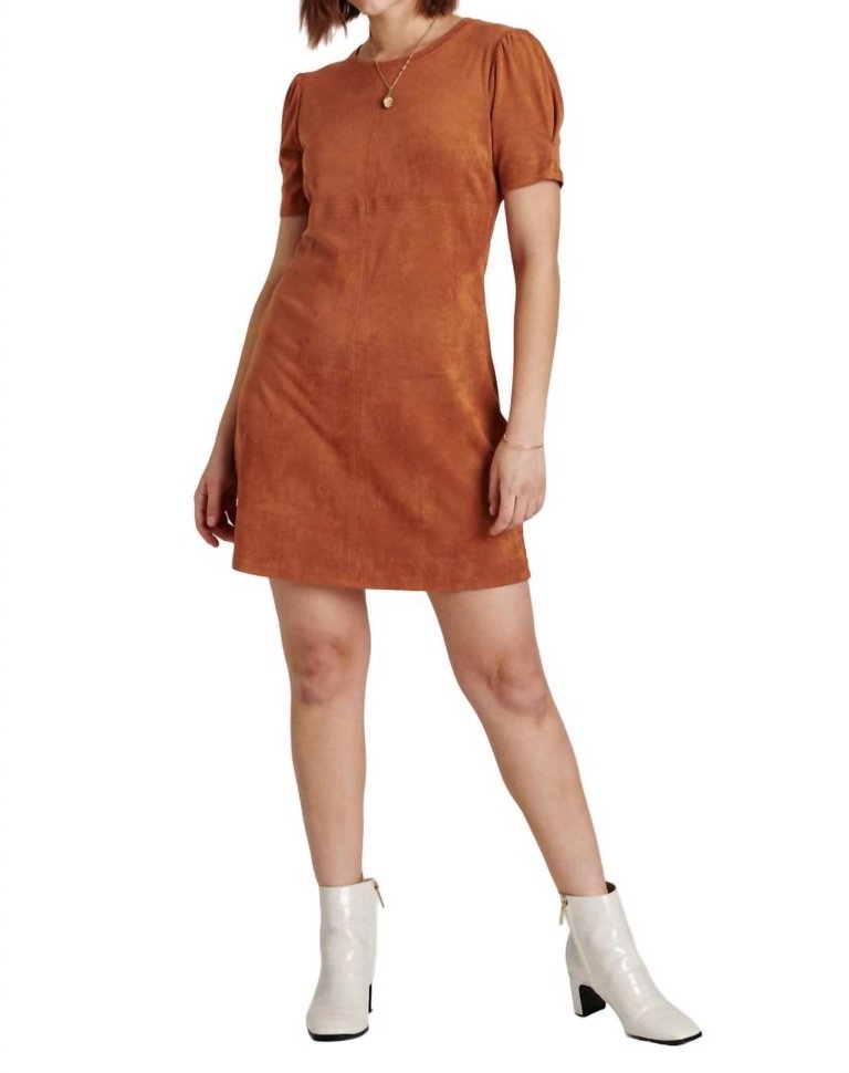 Demi Mini Dress In Maple