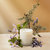 Hinoki Lavender Classic Candle