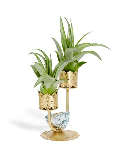 Ariana Ost Healing Crystal Air Plant Candelabra product