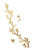 Kids Sprouting Growth Chart - Gold