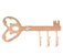 Parisian Key Wall Hook - Rosegold