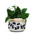 Orvieto Blue Rooster: Cylindrical Cover Pot - Cachepot Planter (Small)