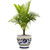 Orvieto Blue Rooster: Luxury Cachepot Planter Large