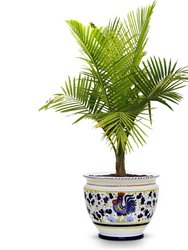Orvieto Blue Rooster: Luxury Cachepot Planter Large