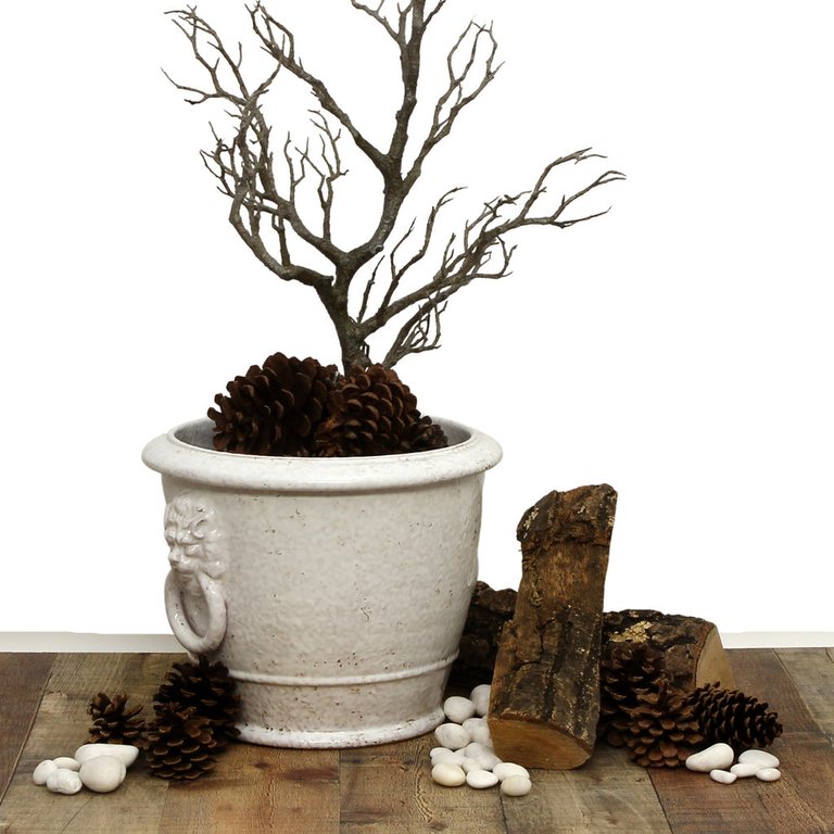 Scavo Classico: The Perfect Cachepot Planter! Two Lion Heads and rings Antique Martellato