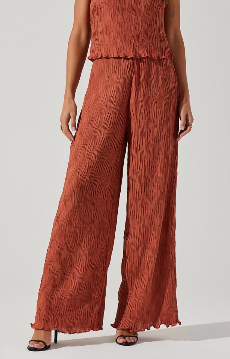 Janesa Rust Pant In Brown - Brown