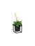 Kubus Flowerpot