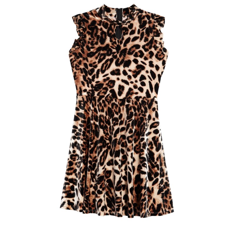 Leopard Print Velvet Skater Dress - Brown