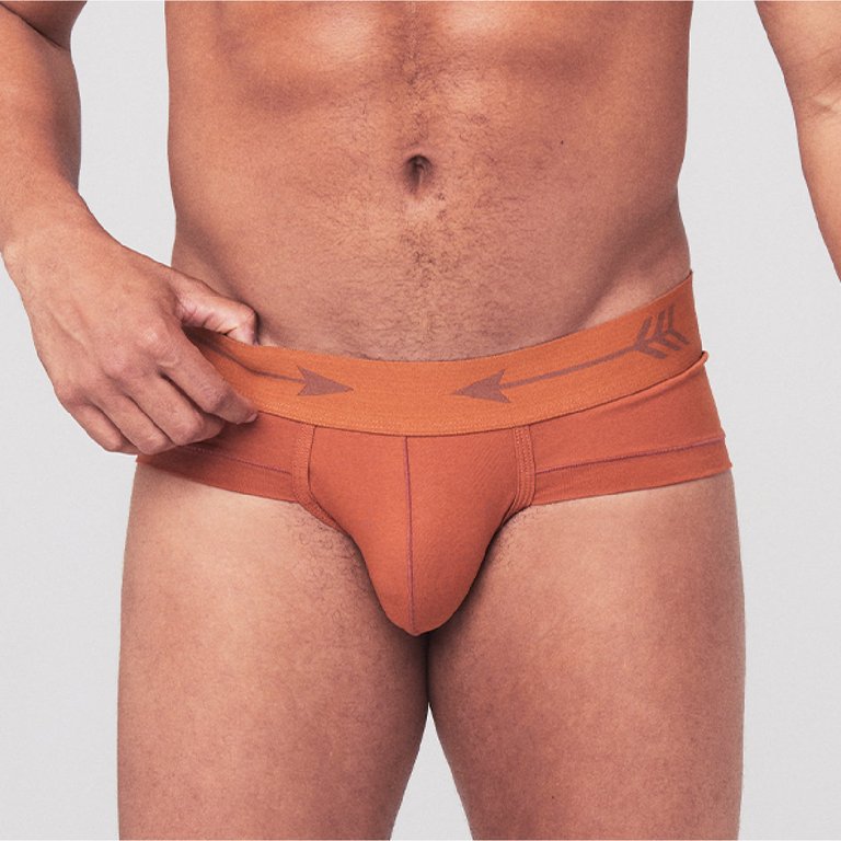 Men's Sport Brief