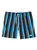 Black Stripe Swim Trunk