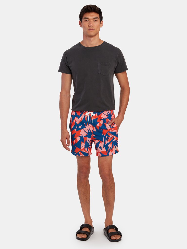 Multi Abstract Swim Trunk