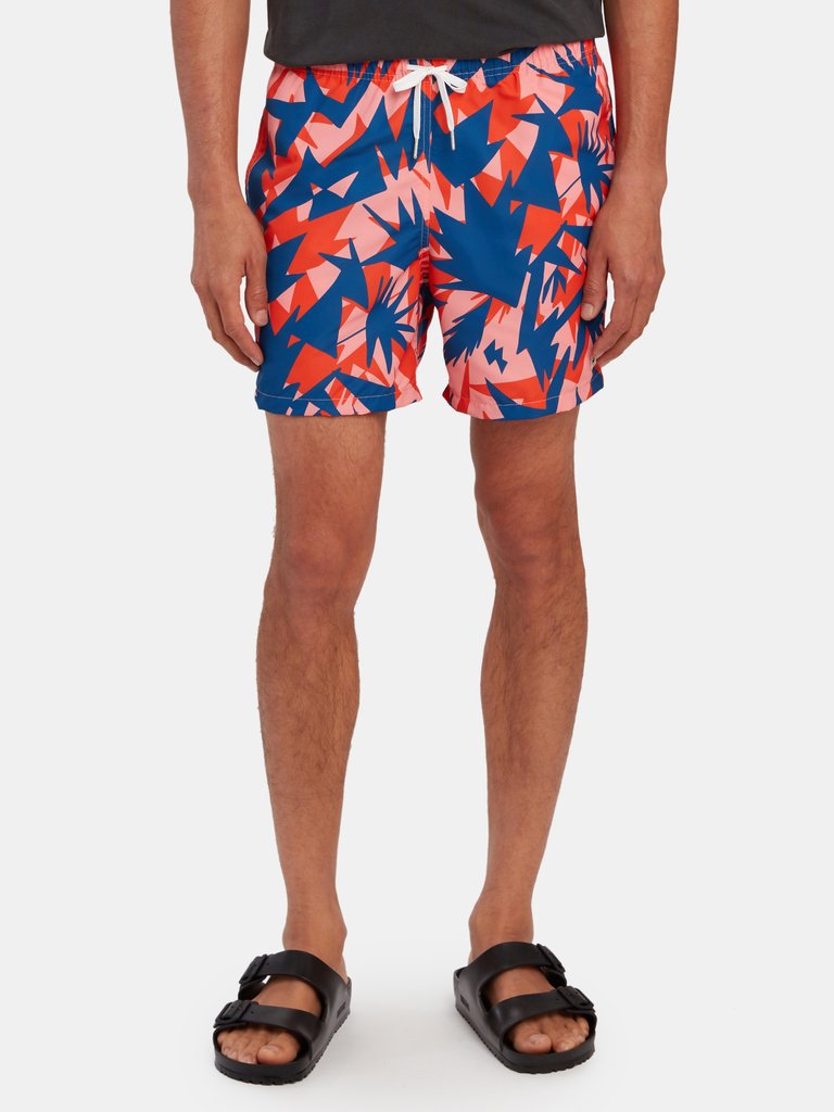 Multi Abstract Swim Trunk