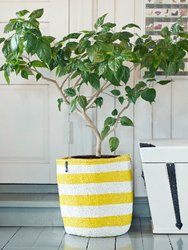 Mifuko - Medium Basket with White and Yellow Stripes