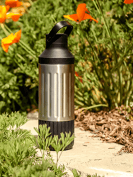 Stainless Steel Hydration Bottle
