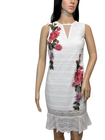 BeBe Floral Embroidered Sleeveless Lace Dress product