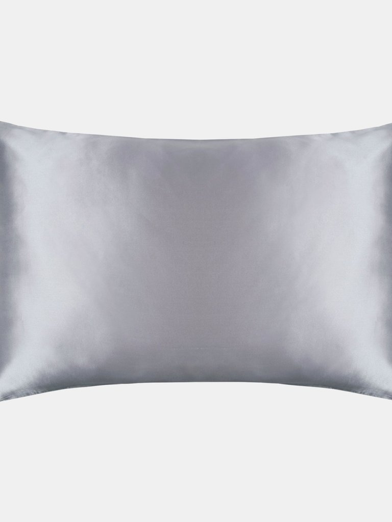 Belledorm 100% Mulberry Silk Pillowcase (Platinum) (One Size) - Platinum