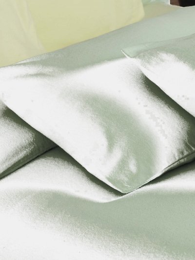 Belledorm Belledorm Brushed Cotton Housewife Pillowcase (Pair) (Green Apple) (One Size) product