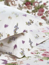 Belledorm Delphine Oxford Pillowcase (1 Pair) (Multicolored) (20 x 30in) (UK - 51cm X 76cm)