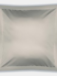 Belledorm Pima Cotton 450 Thread Count Oxford Continental Pillowcase (Platinum) (One Size) - Platinum